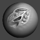 37DragRectASBiomechanical