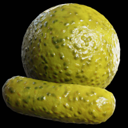 Pickle