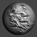 41SprayASBiomechanical
