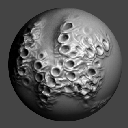 43SprayASBiomechanical