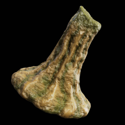 Pumpkin Stem