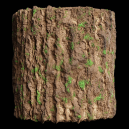 Tree Bark 2