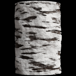 White Birch Tree Bark