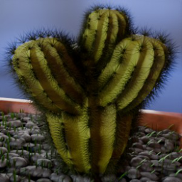 Columnar Cactus Generator