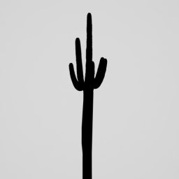 Cactus 1