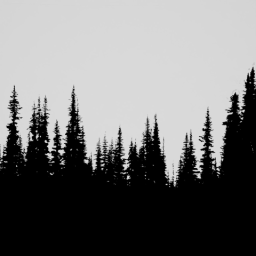 Pine Trees