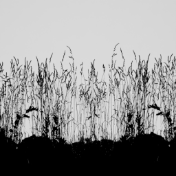 Tall Grass 2