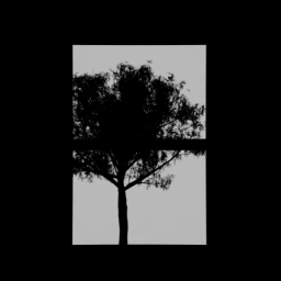 Window Tree 1