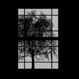 Window Tree 4