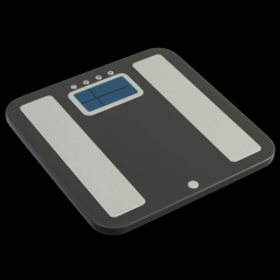 Scale