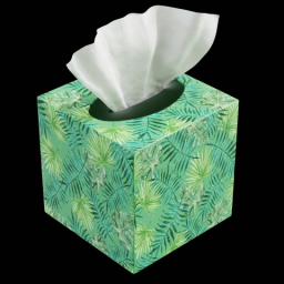 Tissue Box 3