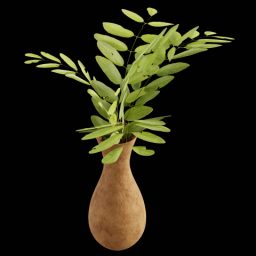 Plant in a Pot