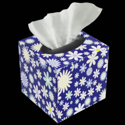 Tissue Box 4