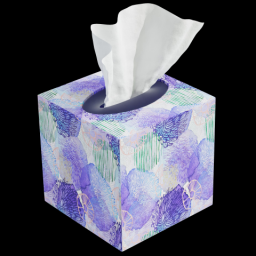 Tissue Box 1