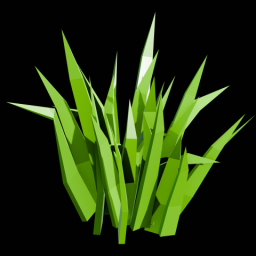 Grass 11