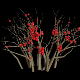Berry Bush 1