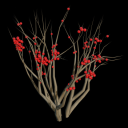 Berry Bush 2