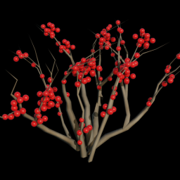Berry Bush 3
