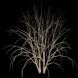 Bush 1