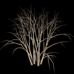 Bush 2