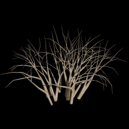 Bush 3
