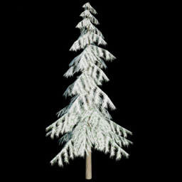 Pine Tree 4