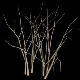 Twig 2