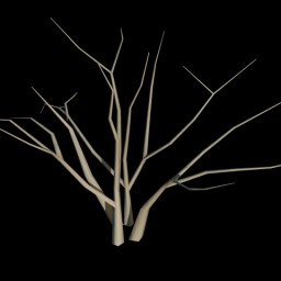 Twig 5