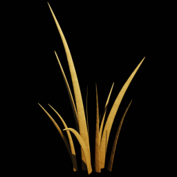 Beach Grass 1