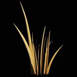 Beach Grass 2