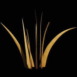 Beach Grass 3