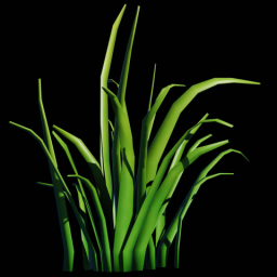 Grass 1