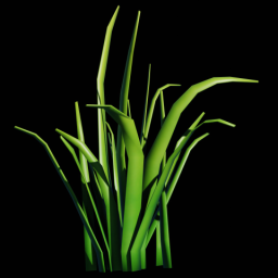 Grass 2