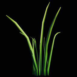 Grass 3