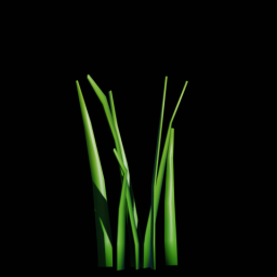 Grass 4