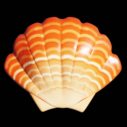 Orange Scallop Shell