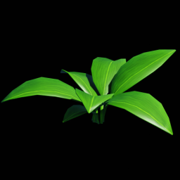 Plant Large