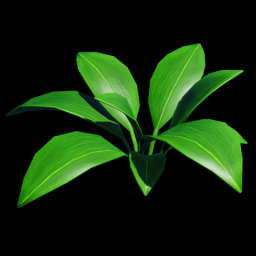 Plant Medium