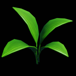 Plant Small