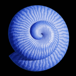 Purple Snail Shell
