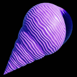 Purple Spiral Shell