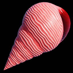 Red Spiral Shell