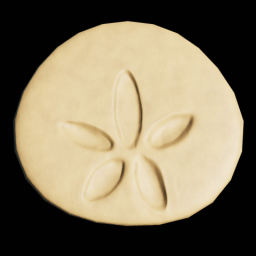 Sand Dollar