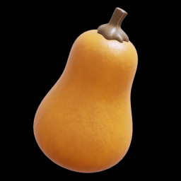 Butternut Squash