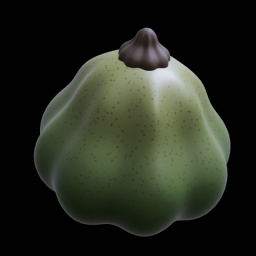 Gourds