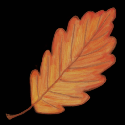 Leaf 1
