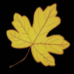 Leaf 2