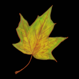 Leaf 3