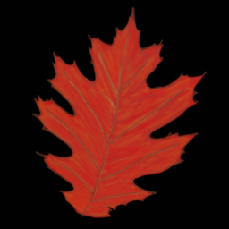 Leaf 5