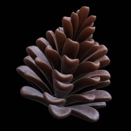 Pine Cone
